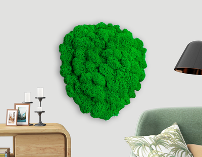 ЖИВАЯ ЭКО-КАРТИНА 1040