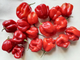 Перец острый Aji Rosita Rojo