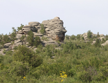 Горная Алтайская Камнерезная Колывань