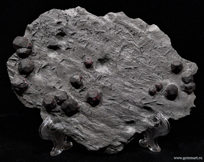 Гранат альмандин-пироповой серии с кристаллами дравита (разн. турмалина) в графитовом сланце. Red Embers mine. USA. 160*120*15мм. Редкость! (ААА)