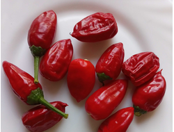 Перец острый Baumchili Rot