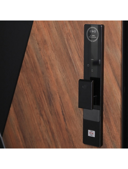 Стальная дверь   Plata (биометрический замок Smart Lock Y12)