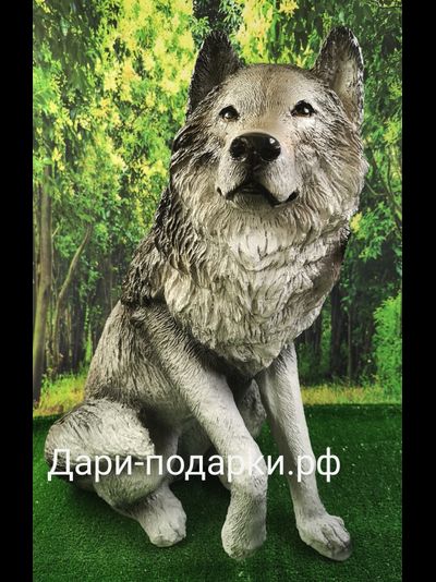 Волк  68*57см  6,5кг   полистоун Россия  5226/012026**