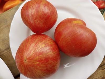 Томат Розовое сердце Пессака полосатое (Coeur Rose de Pessac Stripe )