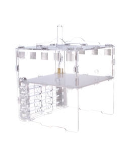 Муравьиная ферма 4ants Crystal L pro