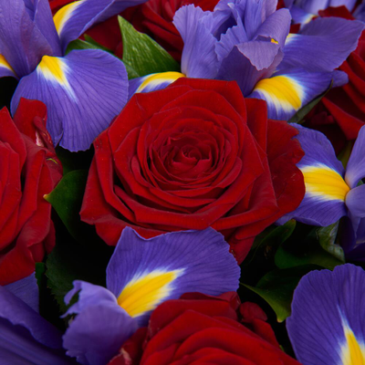 Букет Зимняя вишня