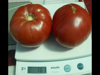 Томат Хелен немецкий (Helen's German)