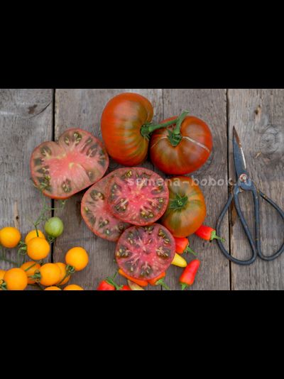 Томат Dwarf Mulatte (Гном Мулатка), 10 шт