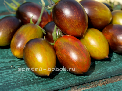 Томат Атомный Виноград Брэда (Brad's Atomic Grape), 10 шт