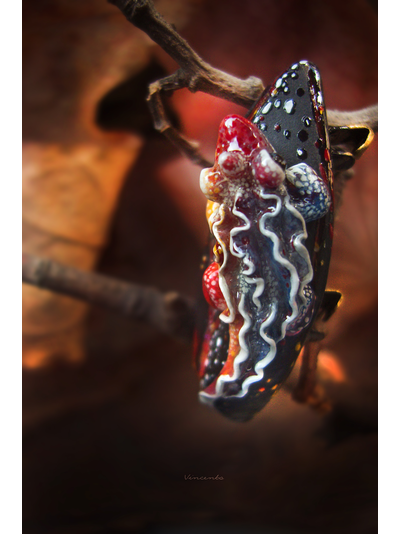 "Саламандра, дитя пламени", миниатюрная фэнтези-брошь (4,5 см)