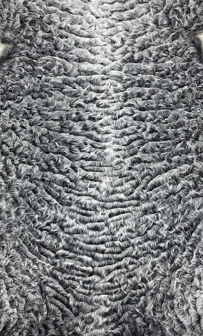 Каракуль Серый Отборный