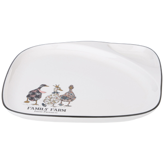 ТАРЕЛКА ОБЕДЕННАЯ "ГУСИ" 2 СЕКЦИИ 26*2,5 СМ