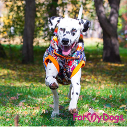 КУРТКА ТИГР СИНЯЯ