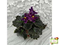 НК-Декамерон (Н.Козак) 2019 г.