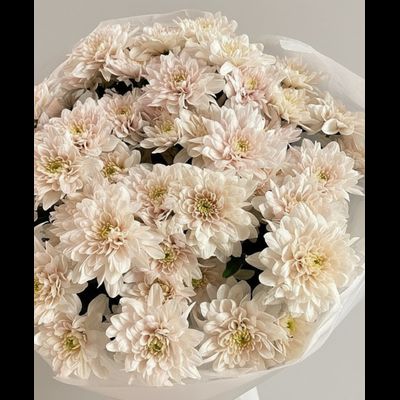 Букет моно цветов № 568