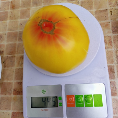 Томат Прелесть Розы (Rose Beauty)