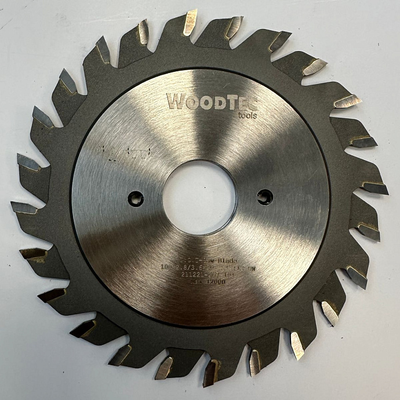 Подрезная составная пила  для форматно-раскроечных станков Ø100 х 20 х 2,8-3,6 Z = 12 + 12 WoodTec, от