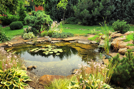 Создание водоемов