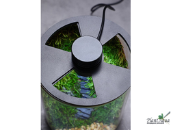 SwetAqua BIO Flor 150 - Емкость для создания флорариума, 150 х 190 мм