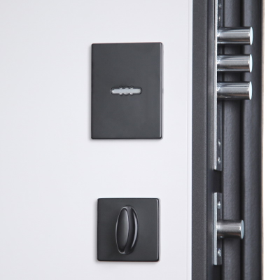 Стальная дверь   Конструктор (биометрический замок Smart lock Y12)