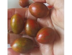 Томат черри Шоколадные брызги (Chocolate Sprinkles)
