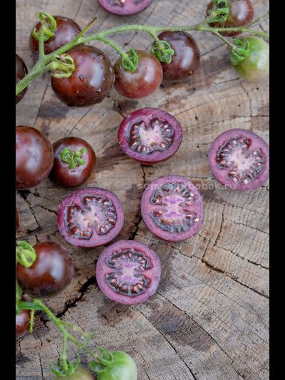 Томат Empress Purple Tomato (Черничный Щербет), 8 шт