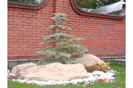 Благоустройство территорий природным камнем