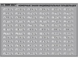 DKM1067 Набор декалей Номерные знаки индивидуальных владельцев Ленинградская область