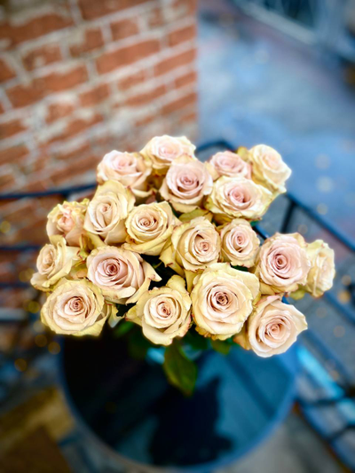 Роза Эквадор 60 см 19 шт