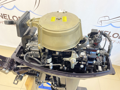 Лодочный мотор TOHATSU M18 E2 S под колпаком - MNELODKU.RU