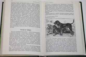 Сабанеев Л.П. Собаки охотничьи... Борзые и гончие. М.: Физкультура и спорт. 1987г.