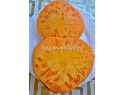 Томат Амана Оранж (Amana orange)