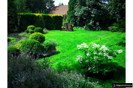 Монтаж и проектирование автоматического полива