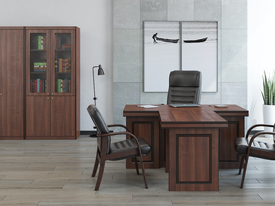 Кабинет руководителя Bern