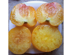 Томат Золото Алтая