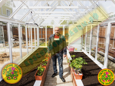 Руководитель компании КРАСИВЫЕ ТЕПЛИЦЫ Кочаров Тимур Владимирович