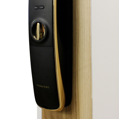 Стальная дверь   Lamborghini. Заказная модель.