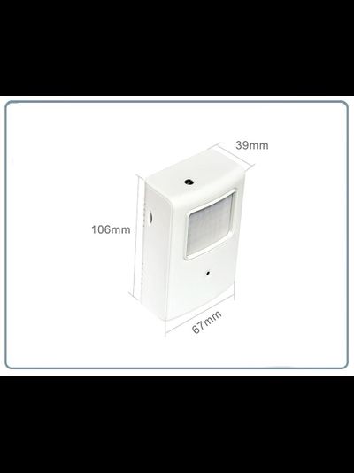 Охранная IP WiFi-LAN видеокамера с ночным видением и аудиоканалом (корпус ИК датчика), встроенный DVR. HD