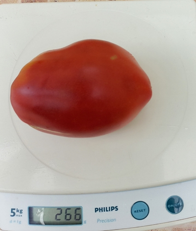 Томат Новозеландский розовый (New Zealand Pink Paste)