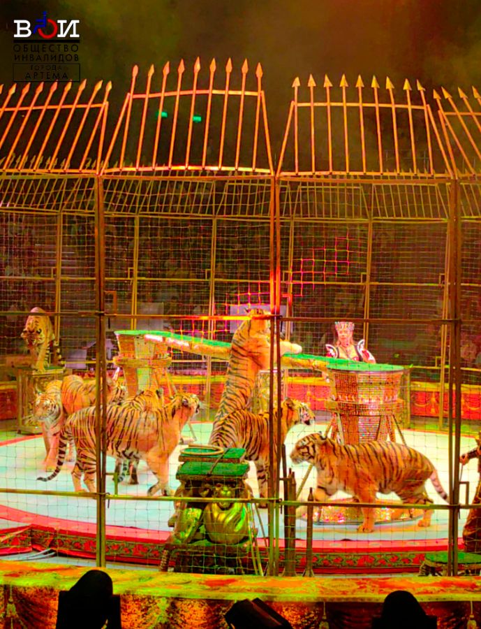 Посещение цирковой программы "Королевский цирк"