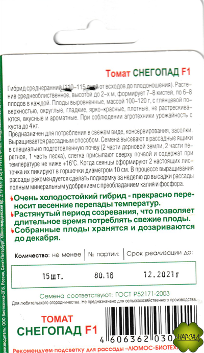 Томат "Снегопад" (высокорослый, выносливый)