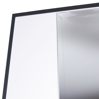 Стальная дверь   Берилл с зеркалом (адаптивная замковая часть). Заказная модель.