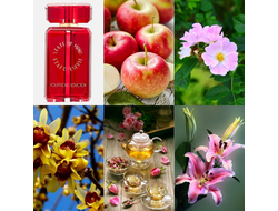 State of Mind Voluptuous Seduction