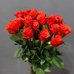 Роза Эквадор