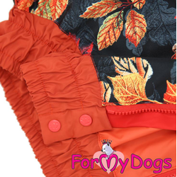 Дождевик Листья красный