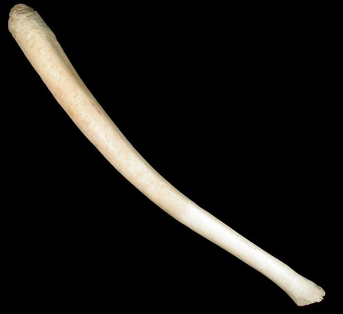 Жетілген қорлау порно