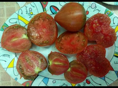 Томат Черное сердце с носиком от Борисовны (усл)