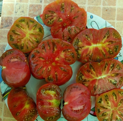 Томат Sandburg GVR