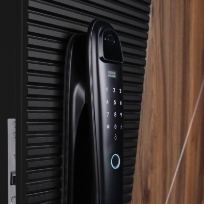 Стальная дверь   Сапсан с зеркалом (биометрический замок Smart lock DZ 888)
