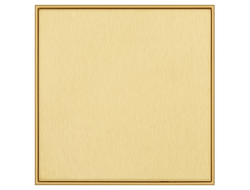 Заглушка одиночная T&J Electric Titanium Matt Brass